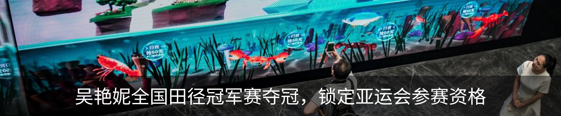 新闻动态