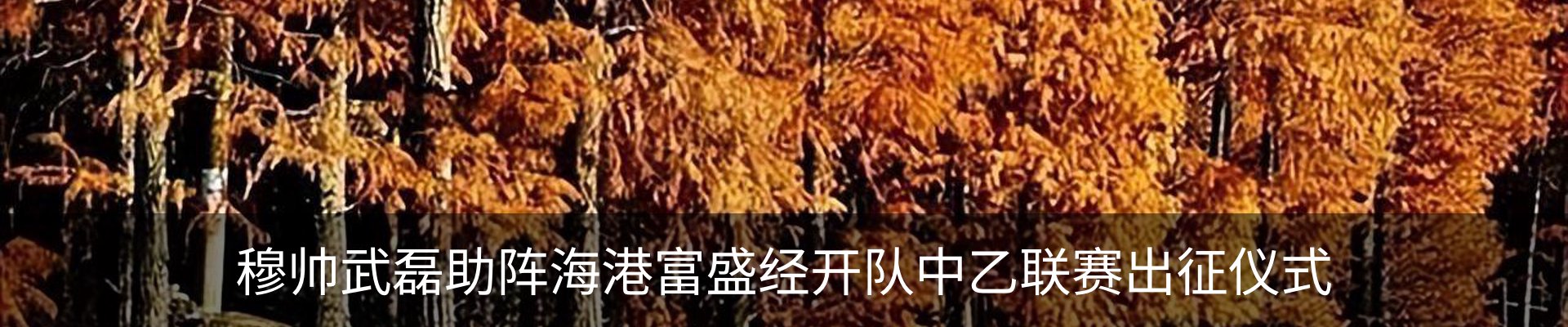 新闻动态