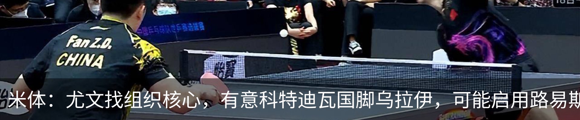 新闻动态