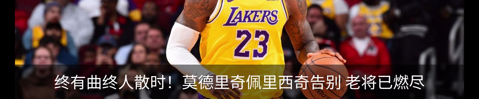 新闻动态