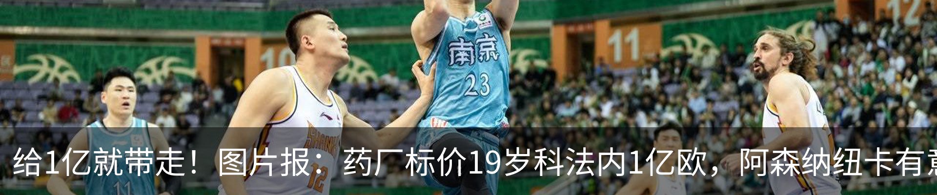新闻动态